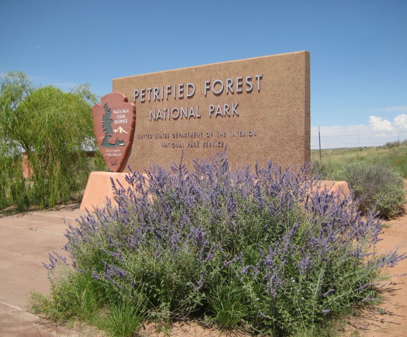 5 keer Petrified Forest National Park